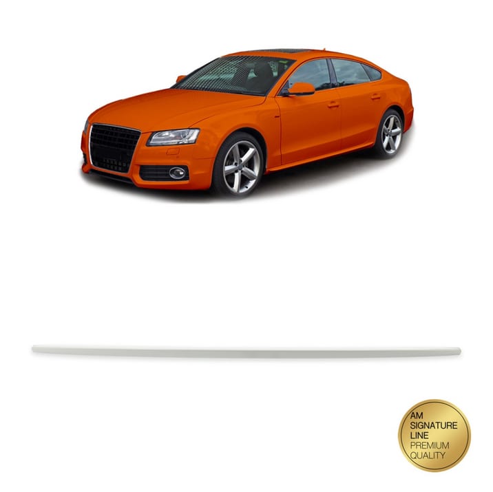 Lotka Audi A5 8T Lip